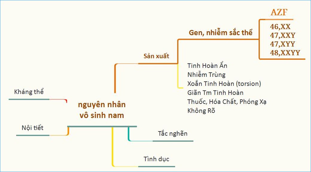 Xét nghiệm xóa đoạn AZF trong điều trị vô sinh nam